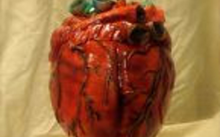 Bu organlar yenilebiliyor