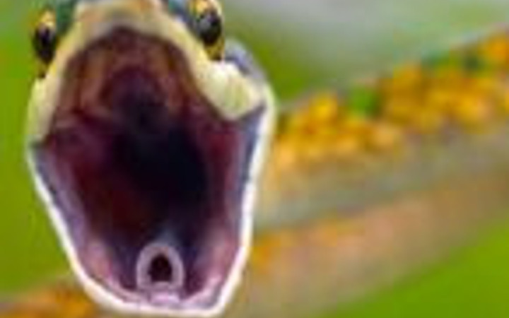 Haftaya damga vuran fotoğraflar