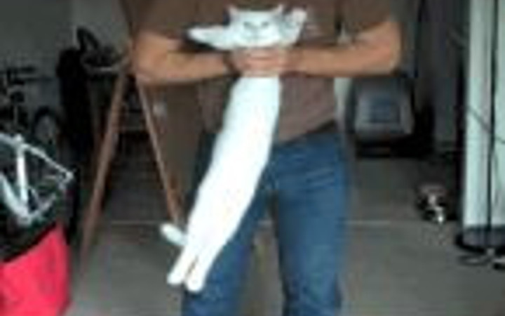 Bu kareler sizi çok eğlendirecek