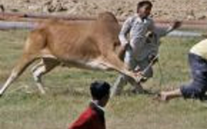 Saldırı anı saniye saniye görüntülendi
