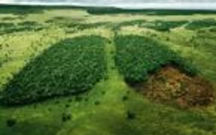 Yaratıcılık sınırlarını zorlayan reklamlar