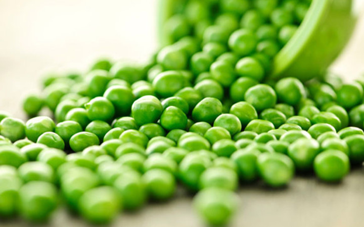 Bezelye yorgunluğu gidermekte birebir 