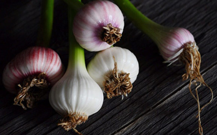 Sarımsağın inanılmaz faydaları!