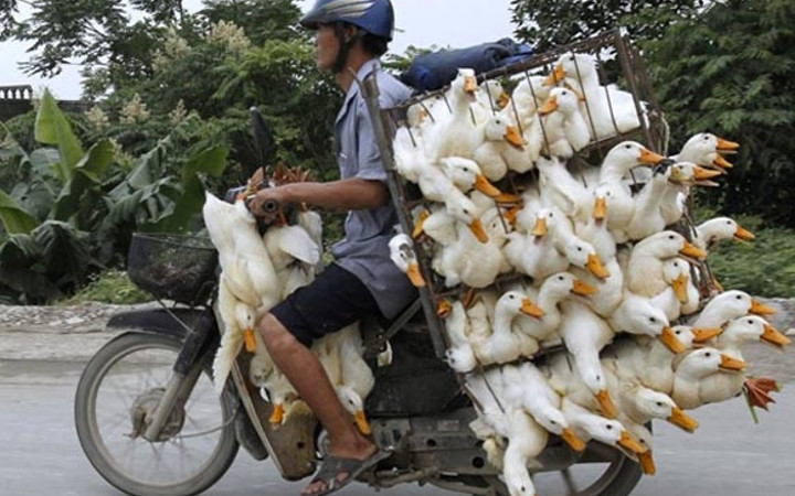 Toplu taşımanın sınırını zorlayanlar...