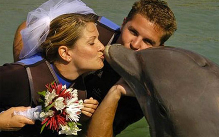 Evlenmek için insanları seçmediler!