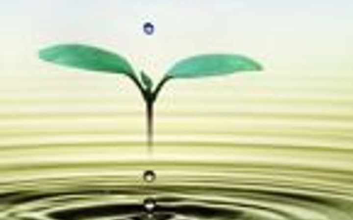 Hamileler yaz sıcaklarından nasıl korunmalı?