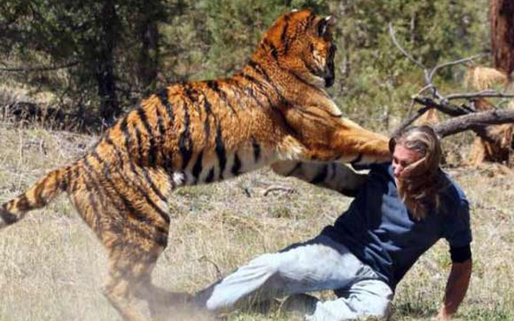 Kaplanla şaka olmaz!