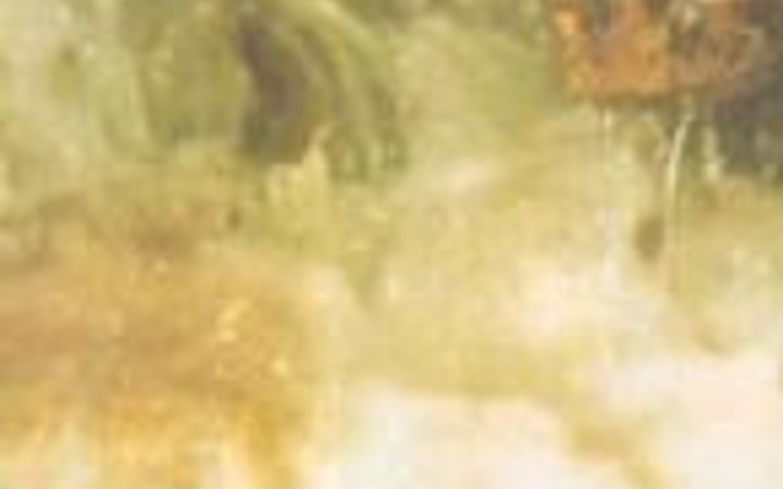 Zemzem suyunun mucizesiyle tanıştınız mı?