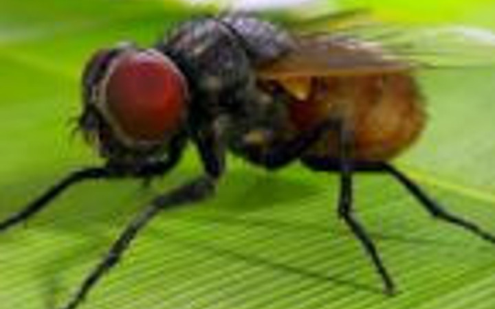 Bu bilgilere çok şaşıracaksınız!