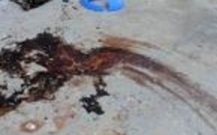 Somali'deki Türk elçiliğinin saldırı sonrası hali