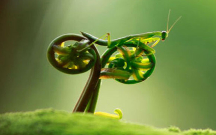 Kafa karıştıran fotoğraflar