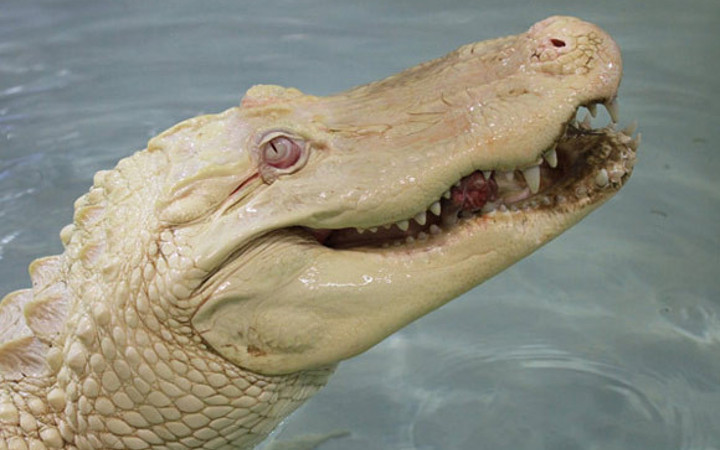 Haftanın en dikkat çeken doğa fotoğrafları