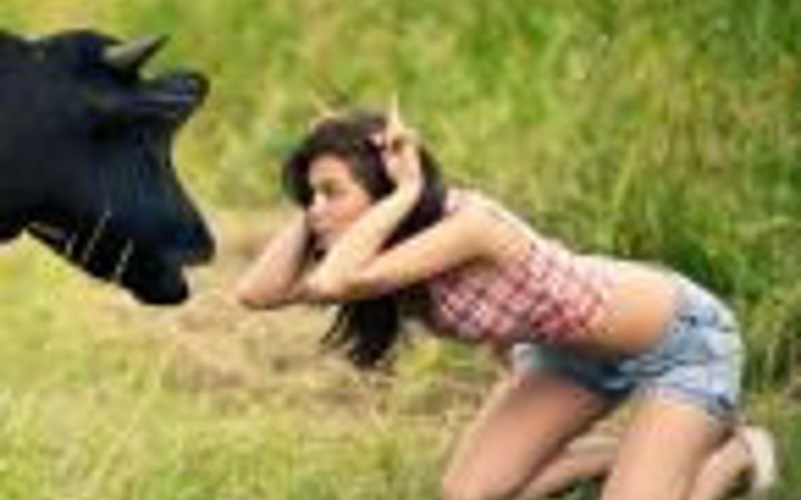 Günün en komik fotoğrafları