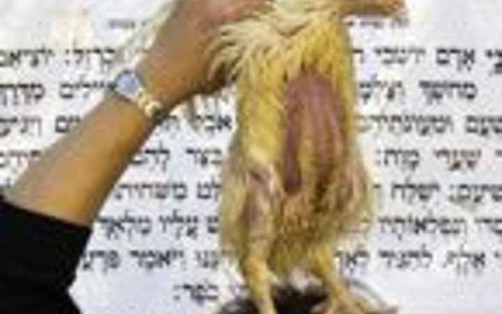 Bütün günahı tavuklar çekiyor