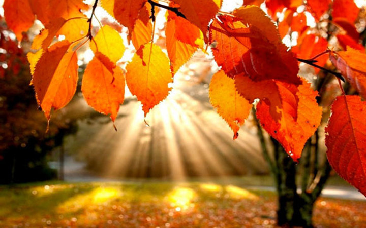 Sonbaharın gelmiş olduğunu hatırlatan doğa olayları