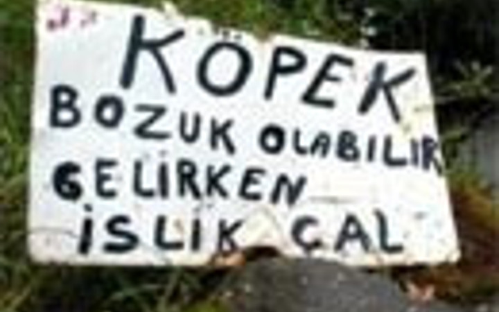 Yurdum insanı döktürmüş