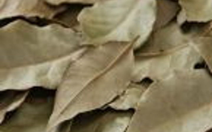 Defne yaprağının bilinmeyen faydaları