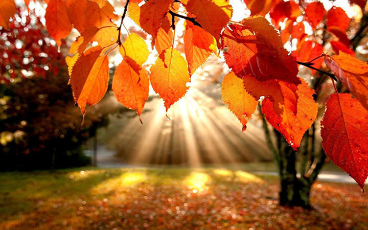 Ataşehir'de Sonbahar