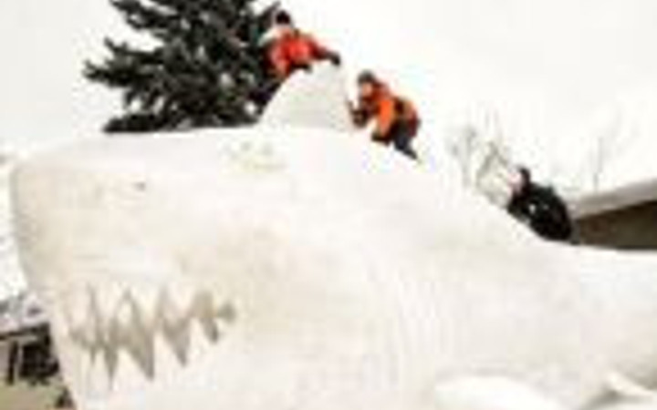 Amerika kıtasının bir tarafı donuyor bir tarafı yanıyor