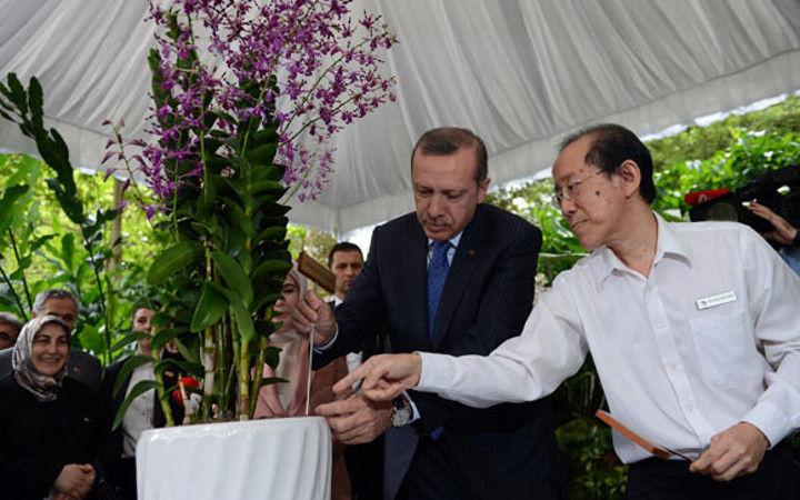 Başbakan'a orkide sürprizi