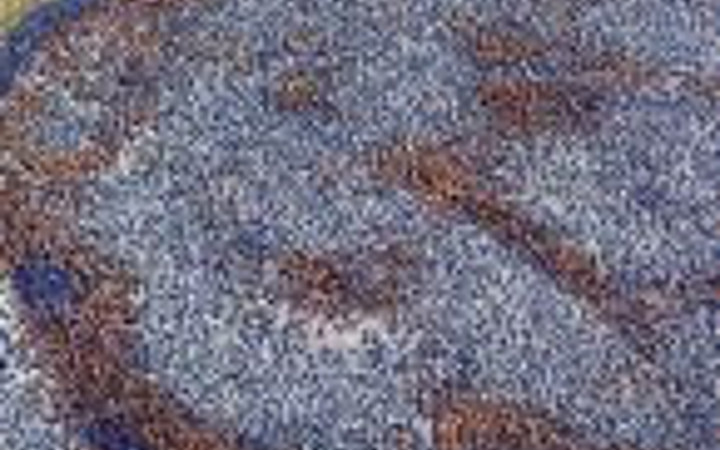 Fotoğraftakilerin ne olduğuna şaşıracaksınız