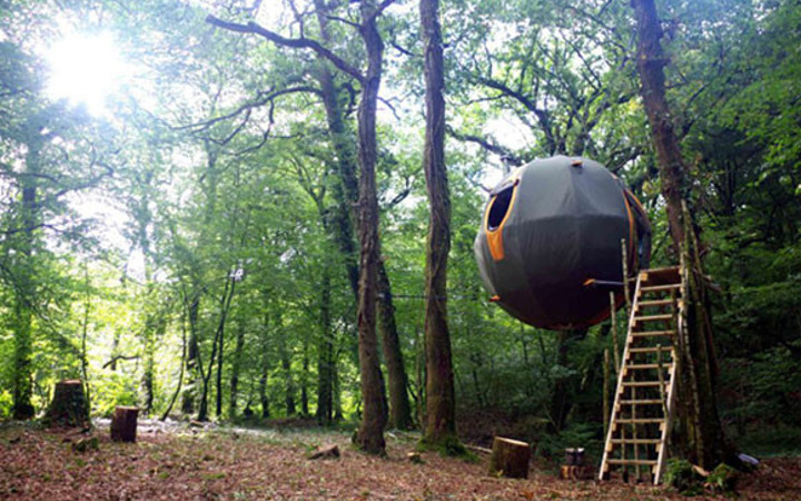 İngiltere'nin ilk agaç evi oteli büyük talep görüyor!