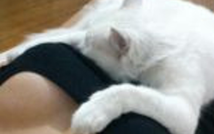 Haftaya gülerek başlayın!