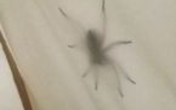 İçinde olmak istemeyeceğiniz fotoğraflar