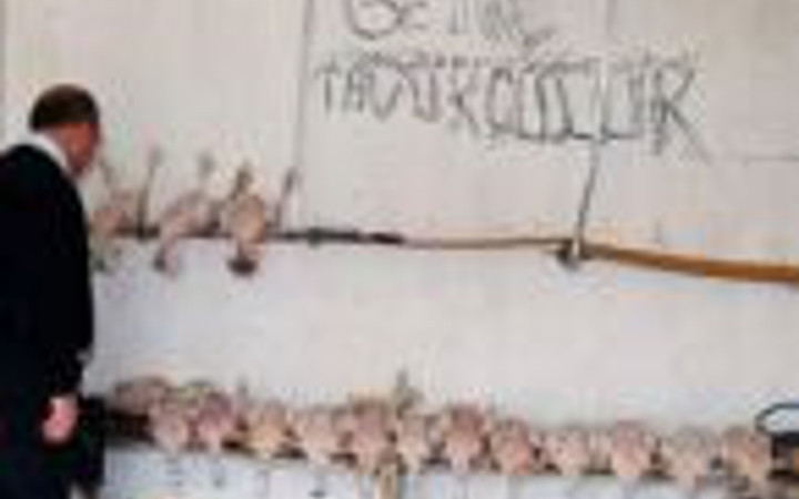 Kaçak tavuk kesimi yapanlara operasyon