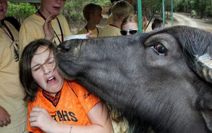 Günün en çok paylaşılan ilginç fotoğrafları