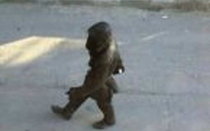 Herkes bu fotoğrafı paylaşıyor! İlçeyi ayağa kaldırdı