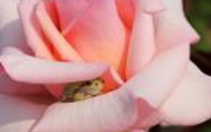 Günün en çok paylaşılan fotoğrafları