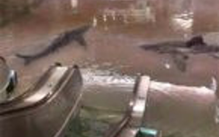 Sosyal medya Ankara'yı konuşuyor