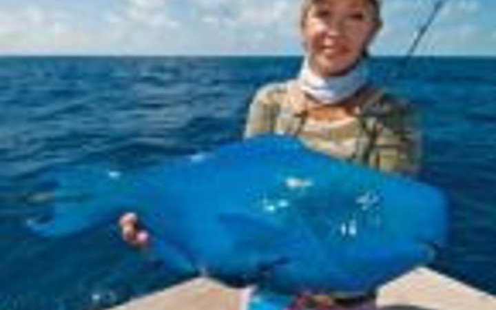 Hiç görmediğiniz  ilginç hayvanlar 