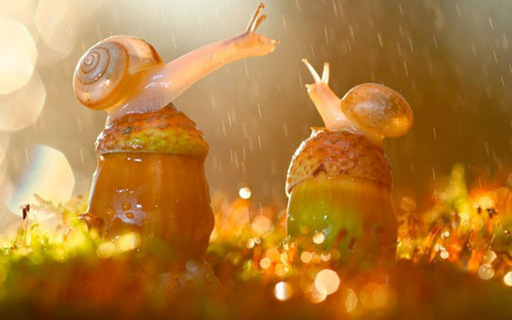 Bakanı büyüleyen 43 fotoğraf muhteşem