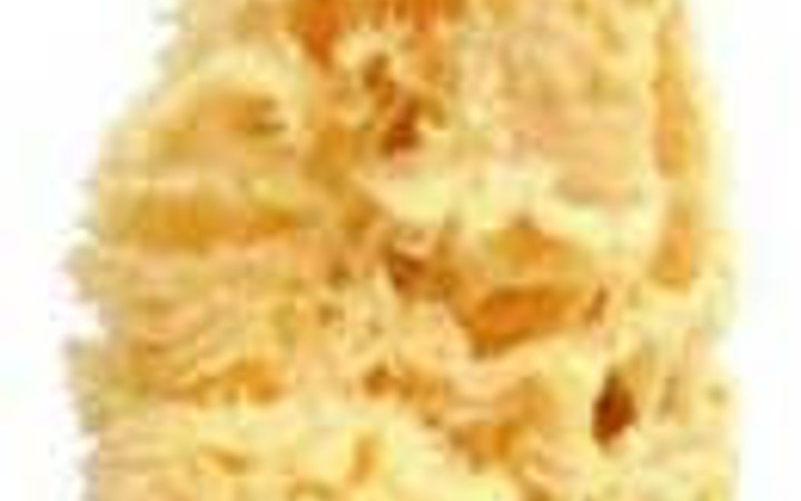 Kadın mı erkek mi?