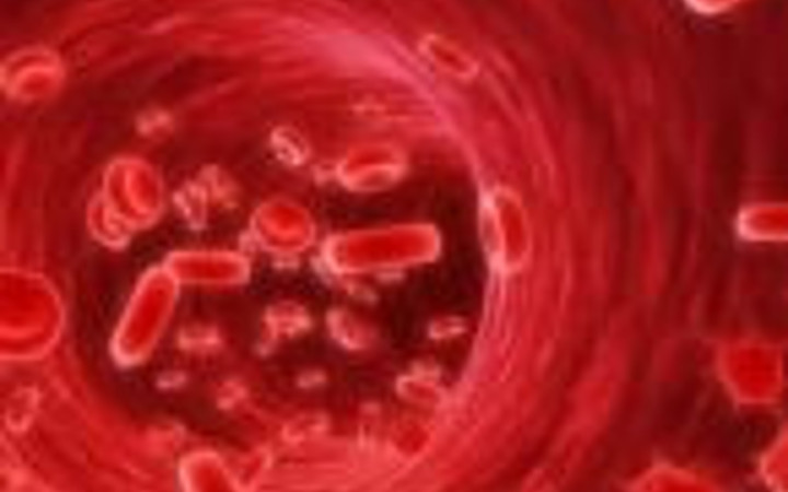 İnsan vücudunun bu özelliklerine bakın...