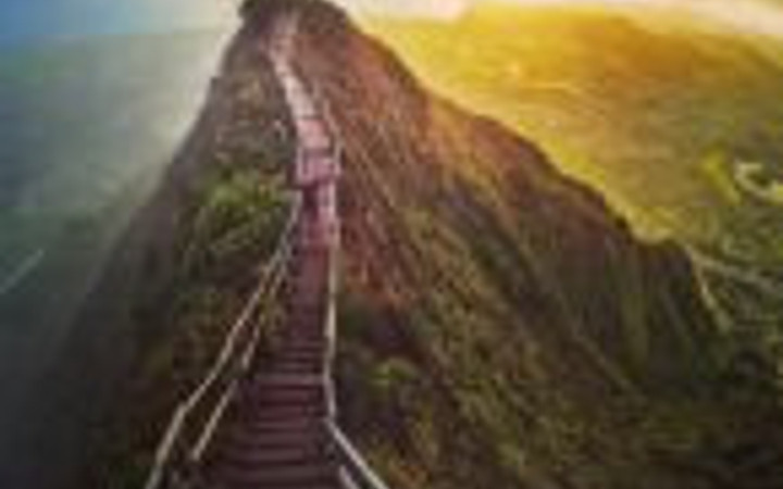 Bunun için ölümü göze alıyorlar!