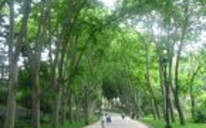 İstanbul'da en serin 15 yer...