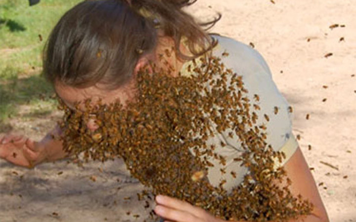 Bunlar neye uğradıklarını şaşırdı...