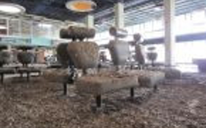 Artık kimsenin uğramadığı hayalet havalimanları