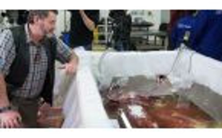 Dev yaratığın sırrını çözmeye çalışıyorlar