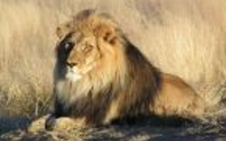 Asla duymadığınız tuhaf gerçekler