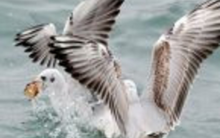 Bunları Biliyor musunuz? 