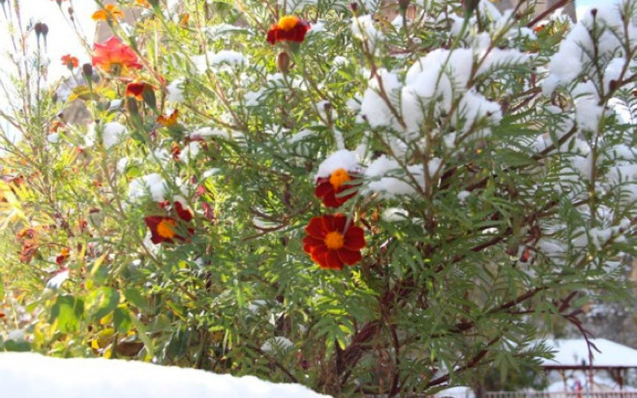 Yurtta kar manzaraları