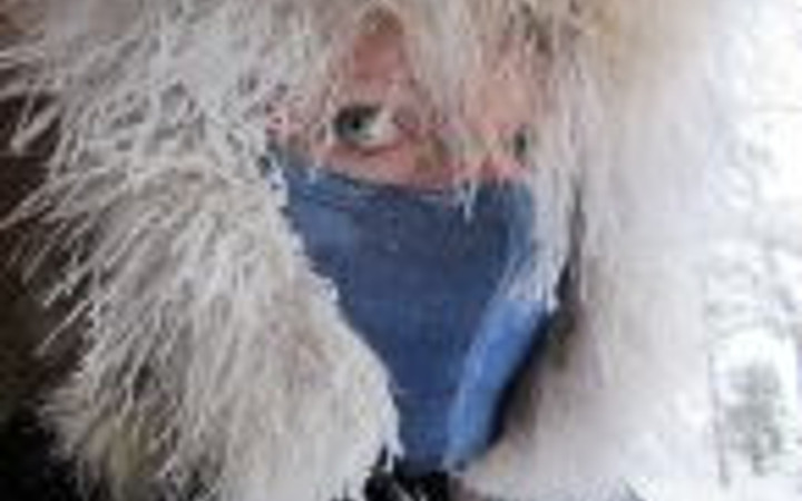 Dünya'nın her yerinden farklı yüzler