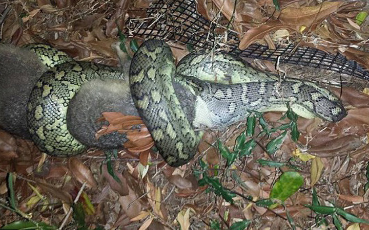 4 saat uğraştı ve sonunda..