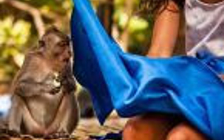 Tam o anda çekilmiş fotoğraflar...