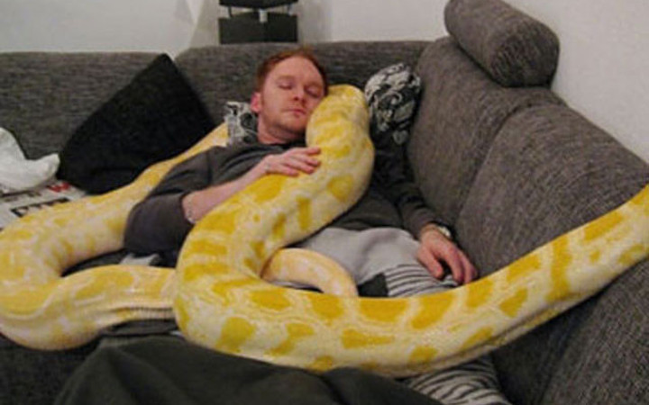 Evde bir yılanla yaşamak mı?