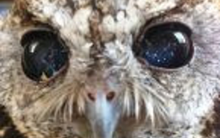 Gözlerinde uzay var..